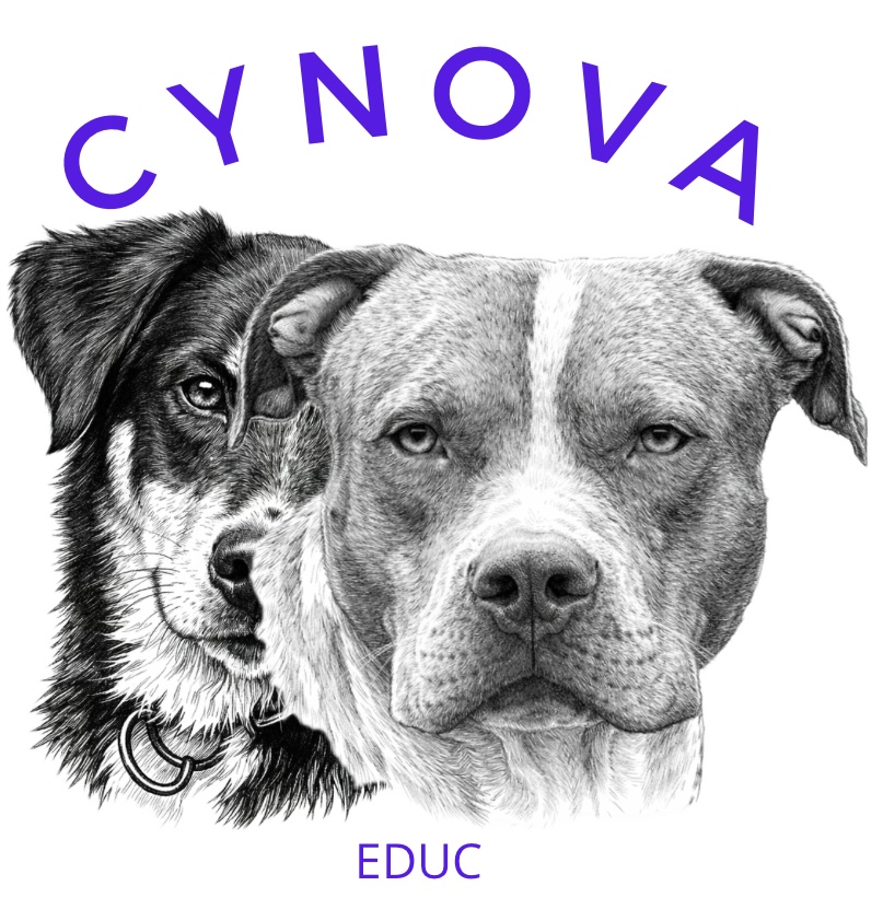 Logo Cynova Educ